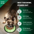 thumbnail image 6 of Iconic Pet Color Splash Stripe Non-Skid Pet Bowl, 24 Oz, Green, 6 of 11