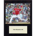 thumbnail image 1 of 1215HAMELSTEX MLB Plaque de Joueur Cole Hamels Texas Rangers 12 x 15 Po., 1 of 1