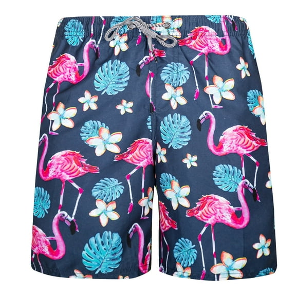 Beautiful Giant Men's Swim Trunks with Mesh Lining Slim Fit Quick Dry Swimwear Clearance