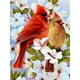 thumbnail image 1 of Cuadros Decorativos Diamante bordado dibujo rama loro mosaico diamante pintura para arte de cuentas Ehuebsd Nuevos Originales, 1 of 8