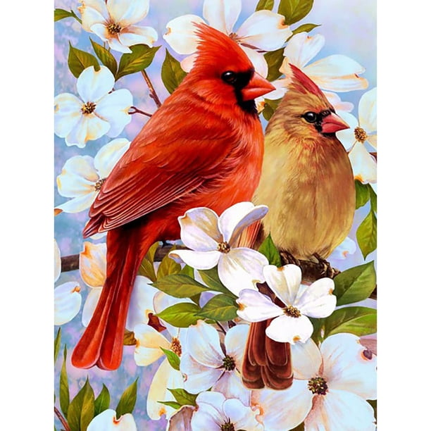 Cuadros Decorativos Diamante bordado dibujo rama loro mosaico diamante pintura para arte de cuentas Ehuebsd Nuevos Originales