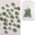 thumbnail image 5 of 3 Resina Camelia Flor Nail Art Charms Nail Decors Calcomanías Nail Flower Stones, 5 of 5