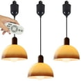 thumbnail image 1 of FSLiving Suspensions d'Éclairage sur Rail de Type J à Hauteur Réglable et à Intensité Réglable avec Abat-Jour Rétro en Verre Fauve Fait à la Main, Contrôle de Groupe Intelligent avec Gradation Continue Cordon de 4 Pi Prise en Bois pour Chambre à Louer - Ensemble de 3, 1 of 8