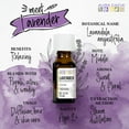 thumbnail image 2 of Aura Cacia Lavender Scented Pure Essential Oil, 2 fl oz Bottle, 2 of 8