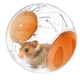 thumbnail image 1 of Pelota de ejercicio para hámster, pelota de ejercicio para hámster, (12 cm, naranja), pelota de ejercicio para hámster, pelota para hámster, para animales pequeños, actividad interesante que depende del aburrimiento Rojo Verde, 1 of 5