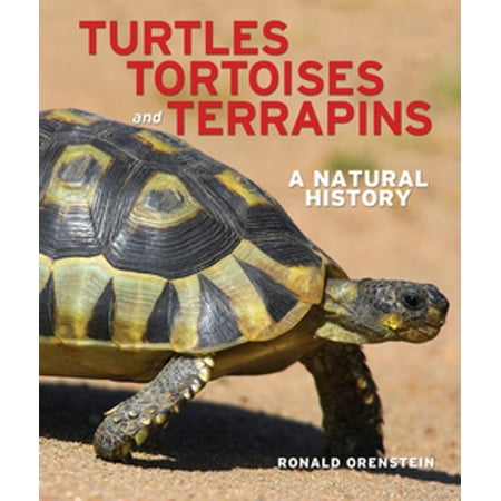 - Turtles, Tortoises and Terrapins - eBook