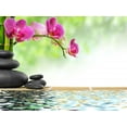 thumbnail image 2 of Growth Wall Mural by Wallmonkeys Peel and Stick Graphic (48 in W x 36 in H) WM310023, 2 of 4