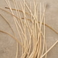 thumbnail image 3 of Coil of 20Pcs Basket Cane Flat Furniture Chair Basket DIY Caning Binder Canes, 3 of 4