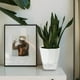 thumbnail image 4 of Transparent Household Pot Lazy Automatic Water-absorbing Flower Pot White Resin Plastic Water Storage Basin, 4 of 9