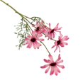 thumbnail image 2 of Gwong Decoración hogareña 1 unid crisantemo artificial Bonsai Cafe Garden Home Body Party Decoración del hogar Gwong 21051815, 2 of 7