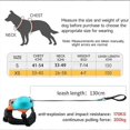 thumbnail image 5 of 2-In-1 No Pull Dog Harness, Adjustable Breathable Dog Vest,XS, 5 of 5