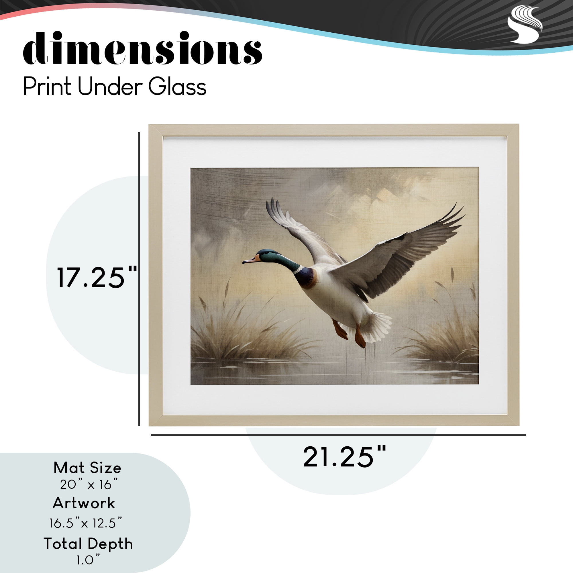 Stupell Industries Gliding Mallard over Wetlands Birch Framed Print Under Glass, design by Susan Arnot