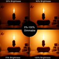 thumbnail image 3 of Bombilla LED LiteHistory T8-4G22K-6Pack Filamento Regulable E12 4W Equivalente 40W Pack de 6 Unidades, 3 of 5