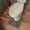 Coffee, variant on Toilet Rug,U Shaped Toilet Rug,Bathroom Floor Mat,20*20IN Toilet Rugs U Shaped,Non Slip & Super Absorbent Extra Thick Soft, Washable Bath Mats for Bathroom Floor(Beige)
