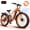 Orange, variant on ESKUTE C300R Electric Bike for Adults, 32MPH High-Speed 1500W Motor, 80-Mile Range 48V 20.8Ah Battery, 26"x4.0" Fat Tire Ebike, Full Suspension, 8-Speed Black, UL2849