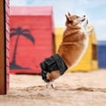 thumbnail image 5 of Pañales para Perros, Paquete de 3 Pañales Lavables para Perros, Pañales Lavables Reutilizables para Perros, Bragas para Perros, Servilletas Sanitarias para Perros para Diferentes Tipos de Perros, 5 of 5