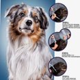 thumbnail image 4 of Typpkmm New 38/ Pet Anti Flea Ticks Antiparasitic Cats Collar 70CM, 4 of 7