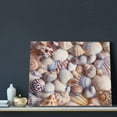 thumbnail image 3 of Lsque Sea Shells Print Wall Art – Decorative Picture for Living Room, Bedroom, and Office (Horizontal), 3 of 6