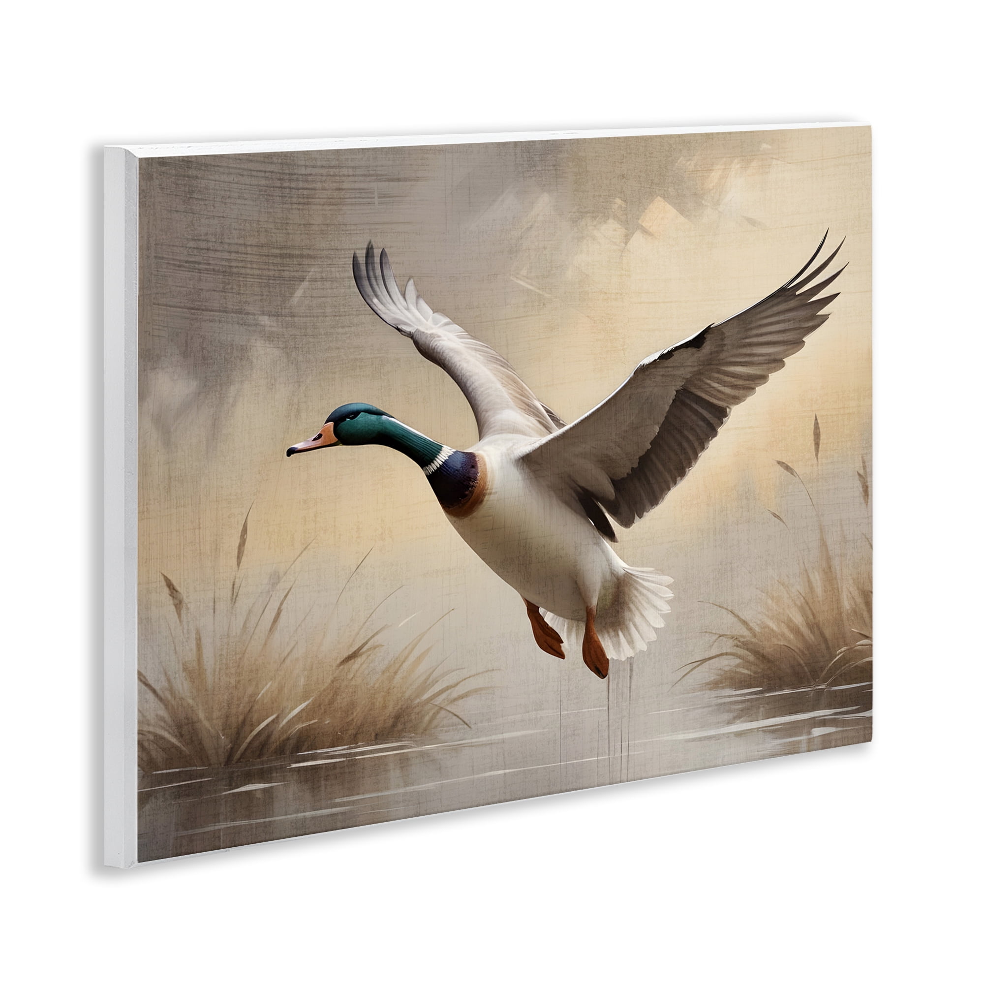 Stupell Industries Gliding Mallard over Wetlands Wall Plaque Art, design by Susan Arnot