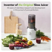 Hurom Cold Press Juicer Machine, H310 Easy Clean Slow Juicer (Charcoal)
