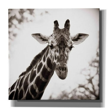 Epic Graffiti 'Giraffe I' by Debra Van Swearingen, Canvas Wall Art, 37"x37"