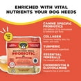 thumbnail image 2 of Brutus Bone Broth Probiotic Meal Toppers for Dogs Mega Pack (Pork) - Pet Food Topper - Bone Broth Powder Fortified - Pet Safe Human Grade Dog Food Topper - Makes Up to 130 Liquid Oz, 2 of 7