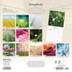 thumbnail image 2 of Calendario: Simplicity 2026 Square Flap Brush Dance Blanco, 2 of 3