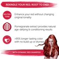 thumbnail image 4 of FRAMESI by Framesi , COLOR LOVER DYNAMIC RED SHAMPOO 16.9 OZ, 4 of 7