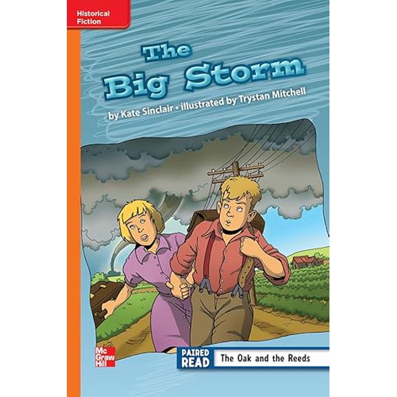 Pre-Owned Reading Wonders Leveled Reader the Big Storm: Approaching Unit 6 Week 2 Grade 3 (Spiral-bound) 0021188319 9780021188314