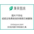 thumbnail image 6 of LITA Artificial Grass 13x24(312 Square FT),0.8in Pile Height Multi-Sizes Artificial Turf Outdoor Grass, 6 of 8