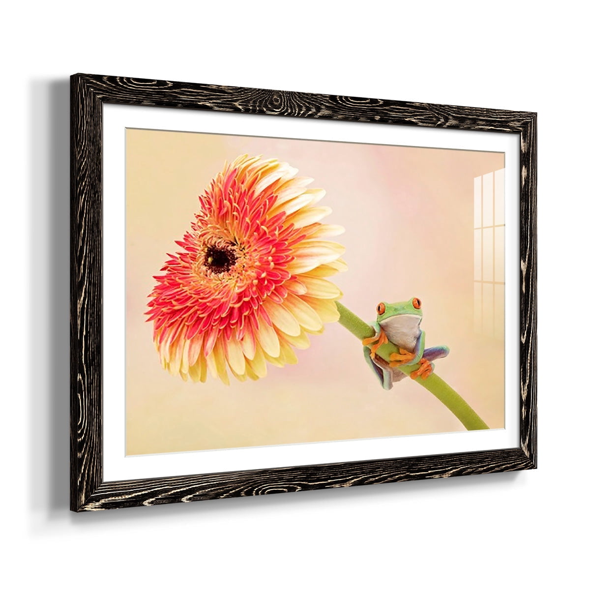 Hanging On IX-Premium Framed Print - Ready to Hang