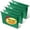 V-green, variant on Plastic Hanging File Folders,Letter Size,Reinforced Hang Folders,Standard File Folders for Filing Cabinet,Plastic Hanging Folders,1/5-Cut Tabs,Designed for Home and Office,Green,12 Pack