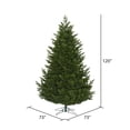 thumbnail image 3 of Vickerman 10' x 73" Eagle Fraser Full Artificial Christmas Tree, Unlit, 3 of 3
