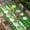 Green, variant on St. Patrick's Day Table Cloths for 6 Foot Rectangle Tables, Green Shamrock Grasses Black White Plaid Patio Waterproof Elastic Fitted Tablecloths, Washable Rectangular Table Cover for Camping