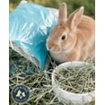 thumbnail image 3 of Standlee Premium Orchard Grass Hay 48oz. Bag Small Animal Forage USA Grown, 3 of 6