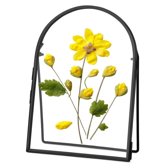 Marco de prensa para flores REDHUGO, doble vidrio, latón, 5 x 7 pulgadas