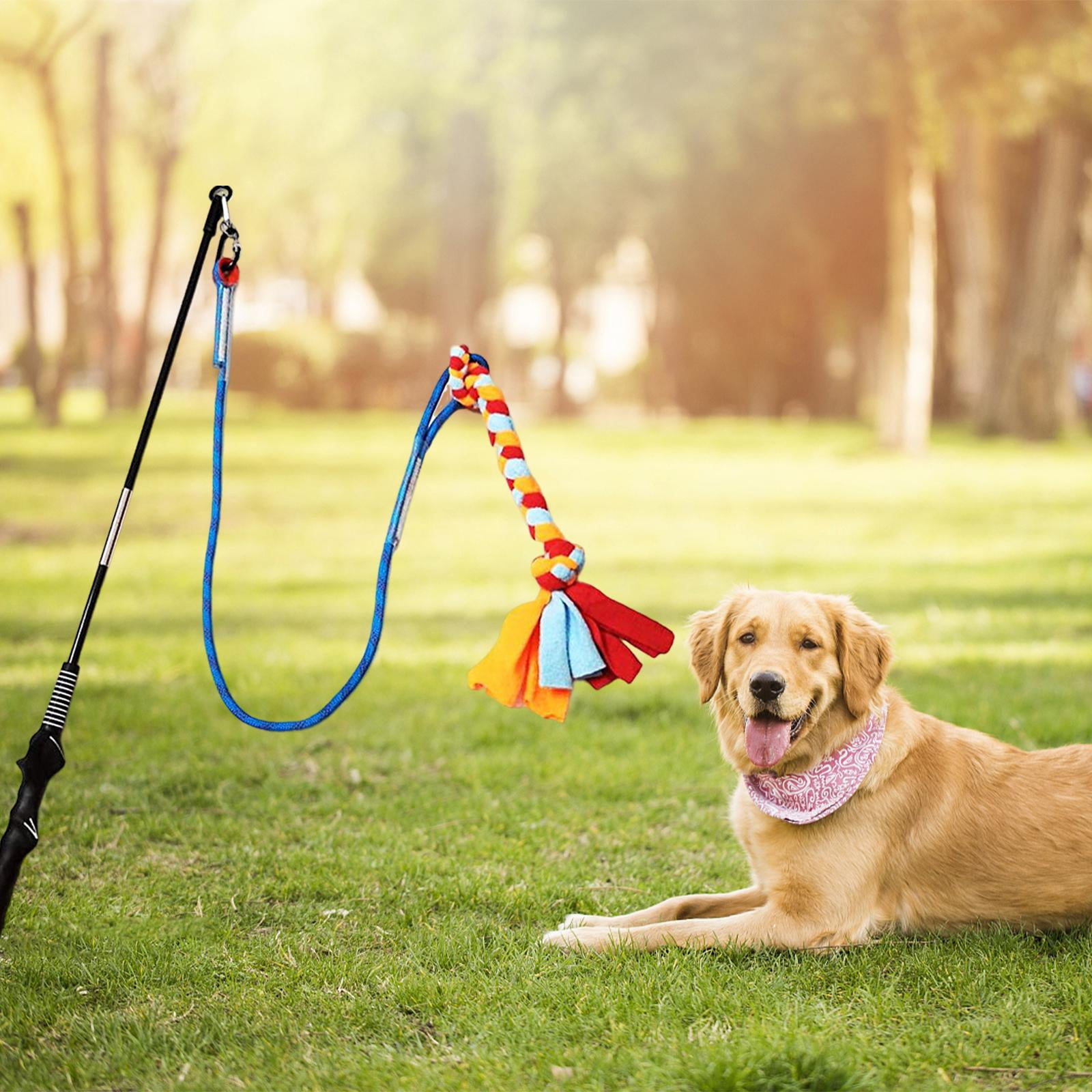 Pole for Dogs for Small Medium Dogs Interactive Dog Toys Dog Chase Toy Tug