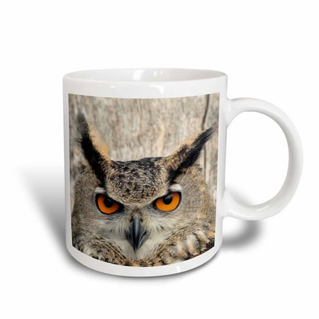 - 3dRose Eagle Owl, bubo bubo, Ceramic Mug, 15-ounce