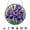 D, variant on Colorful 83-Piece Acrylic Jigsaw Puzzle Hanging Decor – 7.4 Inch Stained Glass Style Sun Catcher for Window, Garden & Home Decoration, DIY Craft Kit