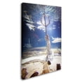 thumbnail image 2 of Trademark Fine Art "Shark Tank" Canvas Art by Yale Gurney, 2 of 3