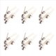 thumbnail image 1 of 30 Piezas 3DU5C Fototransistor de Silicio del Transistor de Metal, 1 of 8