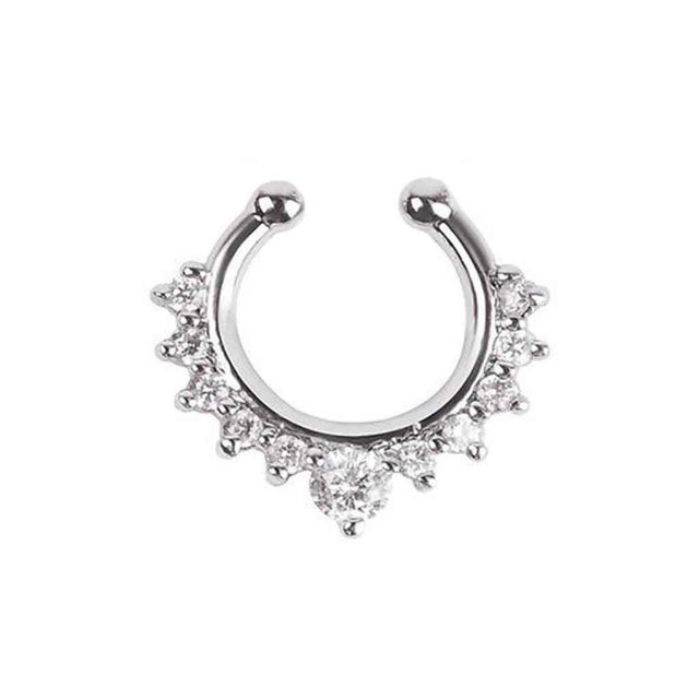 Sonducket Anillo de nariz falso, tachuelas, aleación de moda, para el cuerpo, Clip para el tabique, accesorios de joyería Type2 NO2