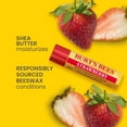 thumbnail image 3 of Burt's Bees 100% Natural Origin Moisturizing Lip Balm, Superfruit Mix 3pk, 3 of 6