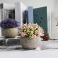 thumbnail image 4 of Realistic Artificial Plants, Mini Potted for Home Decor, Plastic Material Low Maintenance for Office, Environmental Sustainability, Decorative Plants (4PCS), 4 of 5