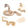 thumbnail image 3 of 8X Modelo BiolóGico del de Crecimiento de Animal Realista Juguetes Modelo BiolóGico de Crecimiento de la Serpiente de Crecimiento de la Cobra, 3 of 5