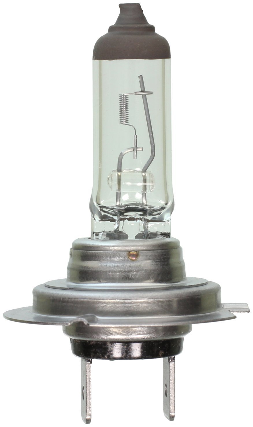 Headlight Bulb