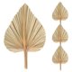 thumbnail image 3 of 4 Piezas de Hojas Palma Secas Abanicos Lanzas Plantas Artificiales Tropical, 3 of 5