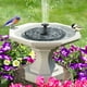 thumbnail image 4 of Fuente 1 5 W/2 W Bomba Solar Baño para Pájaros 200L/H/220L/H Piscina Jardín, 4 of 9