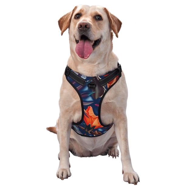 Fotbe Tropical Flower Arnés para Perro con Estampado –Chaleco Ajustable Acolchado con Asa de Control para Perros Grandes-Large
