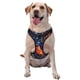 thumbnail image 1 of Fotbe Tropical Flower Arnés para Perro con Estampado –Chaleco Ajustable Acolchado con Asa de Control para Perros Grandes-Large, 1 of 6